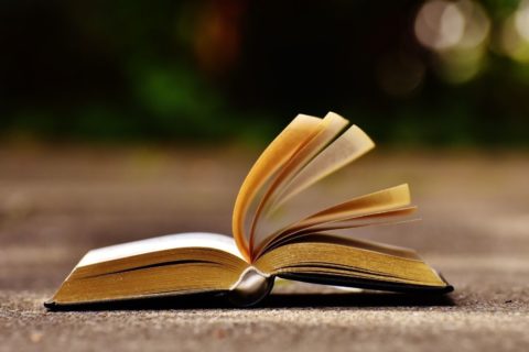 Livre 13